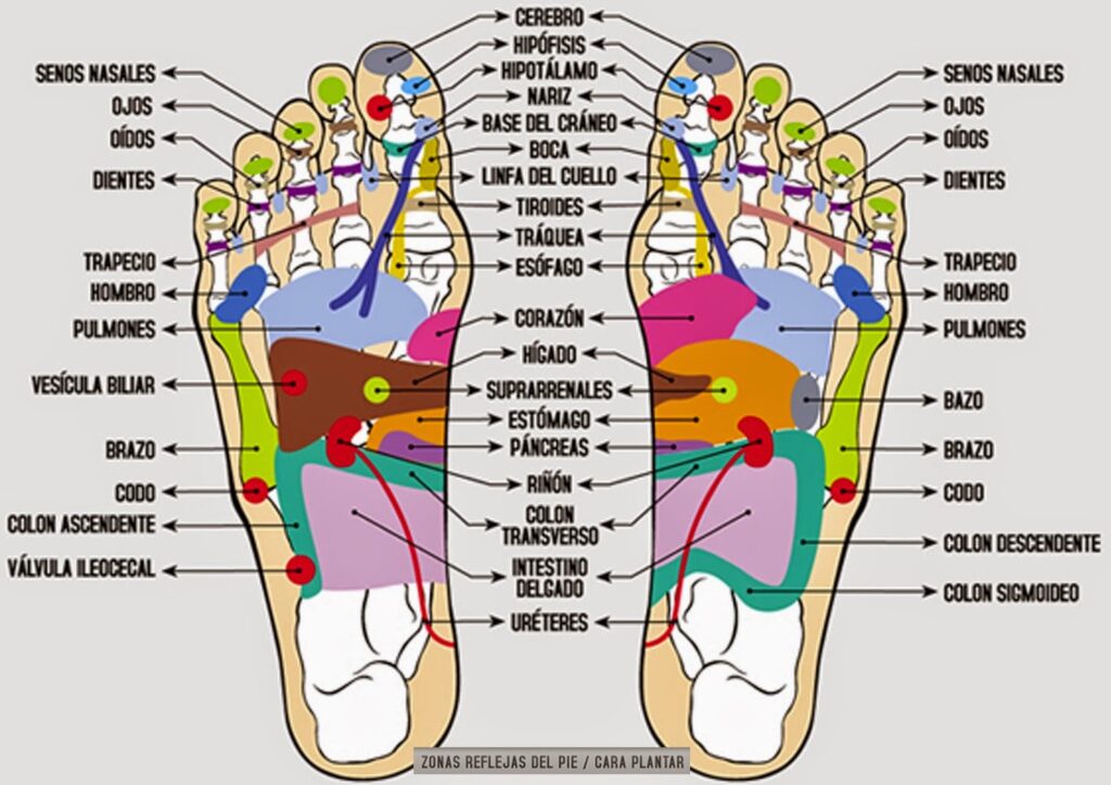 contraindicaciones reflexología podal