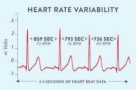 variabilidad cardíaca