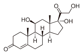 cortisol