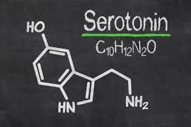 serotonina. Todo lo que necesitas saber